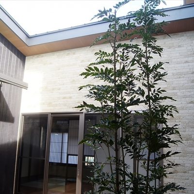 フォトギャラリー【栃木県日光市】　中庭のあるゆとりのデザイン注文住宅